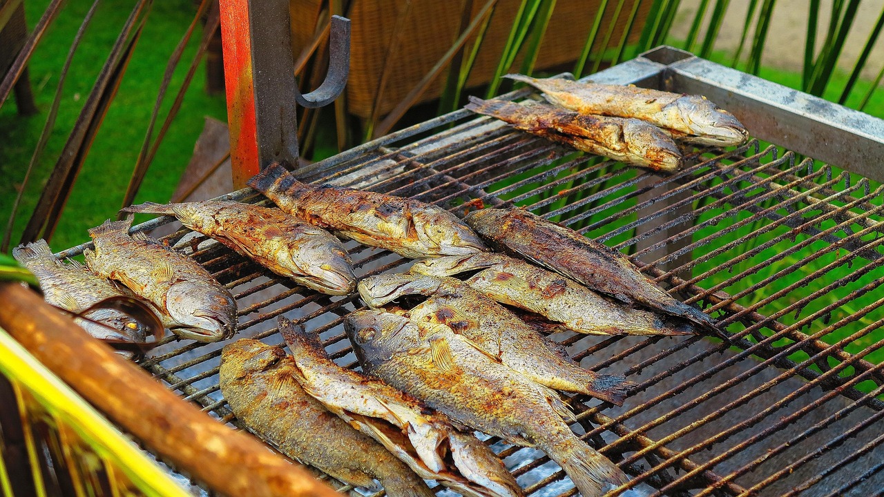 一个月大小猫的饮食指南，它们应该吃什么？